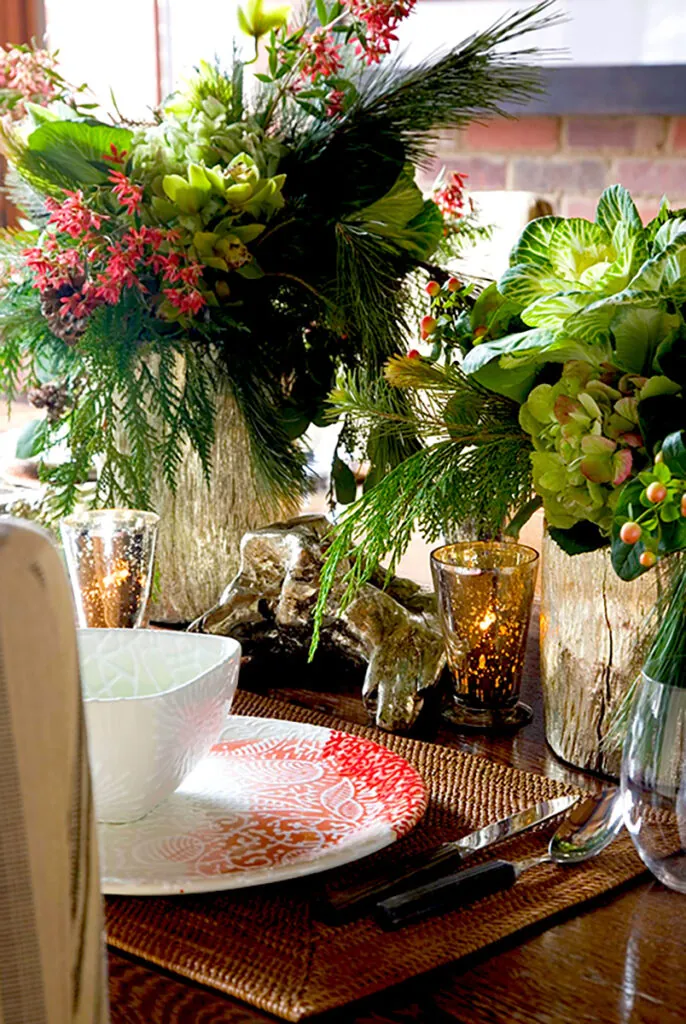 Photo of succulents and indoor plants